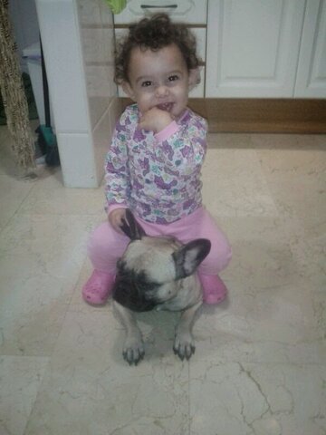 QUAN VAIG COMENÇAR A CAMINAR🚶