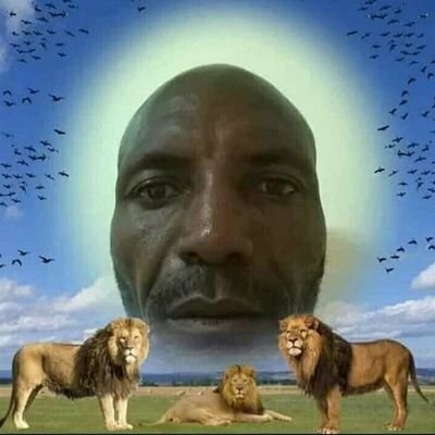 nascimento de Montesquieu