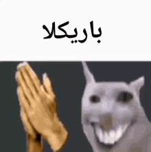 queda da Constantinopla e o inicio da idade moderna