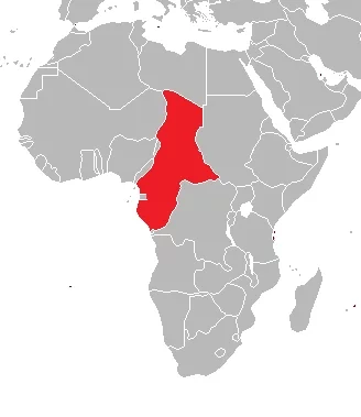 Se fundo Francia ecuatorial en Africa