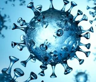 SIGLO XXI - COVID - 19