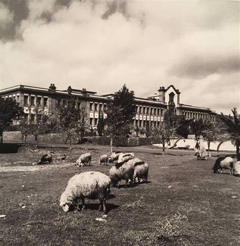 La creación de la Universidad de La Laguna en Santa Cruz supone un importante hito en la historia social del municipio, que se convierte en un centro de enseñanza superior y de investigación.
