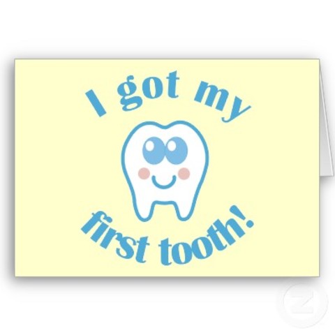 First tooth