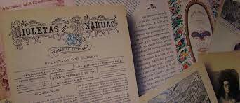 Violetas del Anáhuac