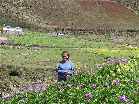 Biomas y sus investigadores