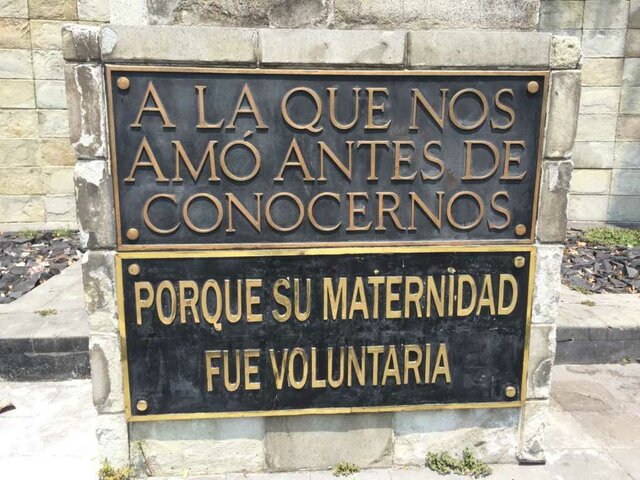 "Porque su maternidad fue voluntaria"