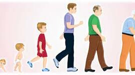 Timeline: ETAPAS DEL DESARROLLO HUMANO