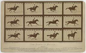 The Horse in Motion