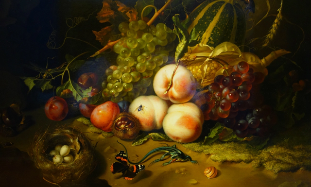 Fruit and Insects