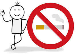 Resolución 1956 de 2008