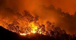 Incendios en Australia.