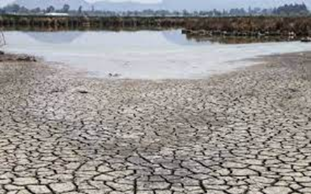 La falta de lluvia produjo una notable sequia en la Presa del Palote.