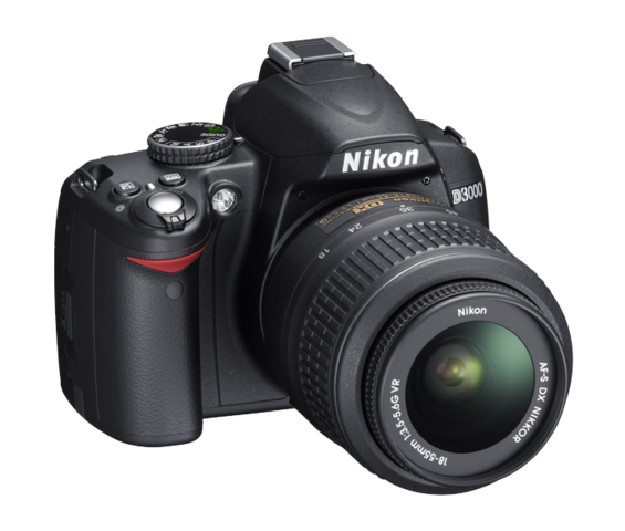 Discovered my love for photography.