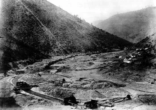 California Gold Rush