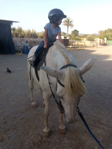 Quan vaig començar equitació