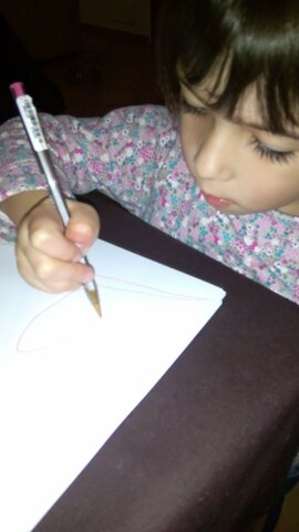 Vaig començar a escriure