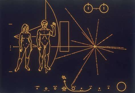 Primeros seres humanos