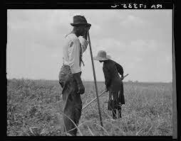 Sharecropping