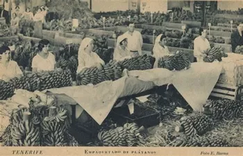 Exportación de plátanos