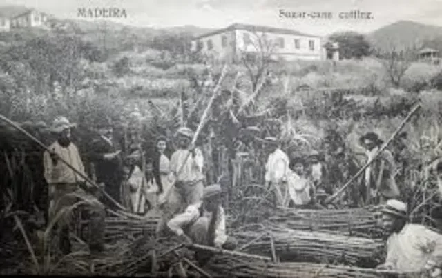 Crisis del azúcar de caña