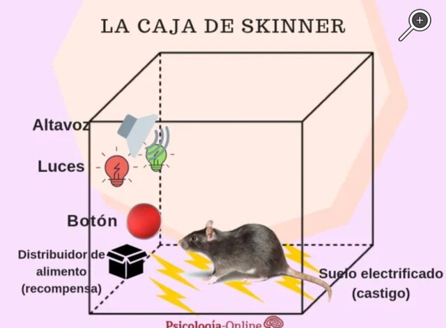 Condicionamiento operante Eseesun