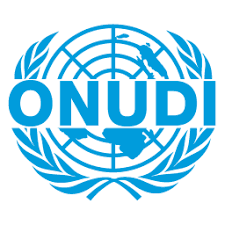 ONUDI + (P+L)