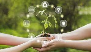 Centro de Innovación y Producción Más Limpia