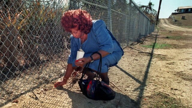 Celia goes to Guantánamo