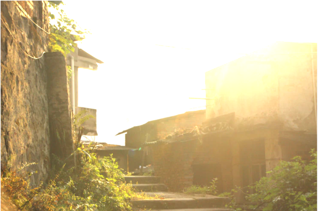 Interpretaciones sobre gestión del declive, decadencia y deterioro de estructuras materiales.