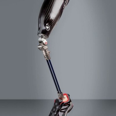 Timeline: История протеза