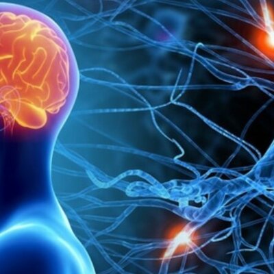 Timeline: Історія вивчення нервової системи людини