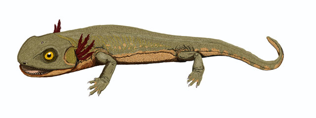 Aparición de los mamíferos