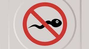 Hecho Importante Religioso Humanismo Exótico