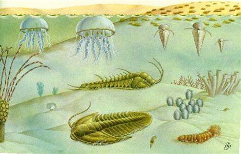 Aparición de los primeros seres vivos pluricelulares