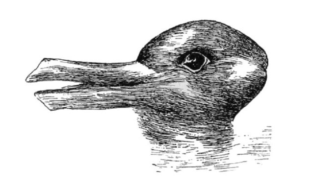The Duck-Rabbit Illustration