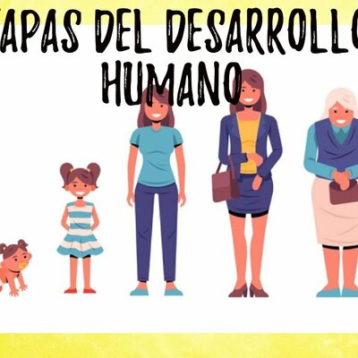 Timeline: ETAPAS DEL DESARROLLO