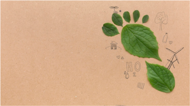 Término: Huella ecológica.