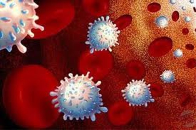 Producción de células madre de la piel