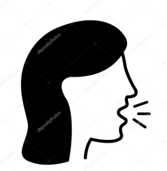 QUAN VAIG COMENÇAR A XERRAR