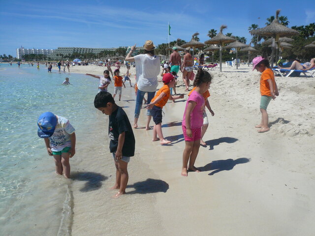 PRIMER DIA DE PLATJA AMB ELS MEUS COMPANYS