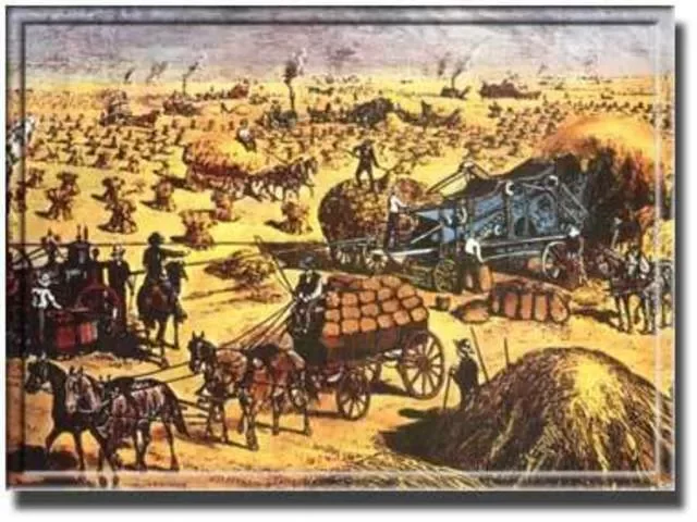 Pérdida de peso económico en la isla