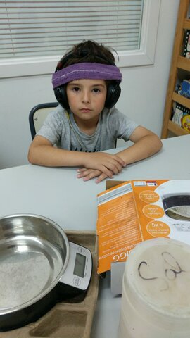 Vaig començar la terapia de tomatis