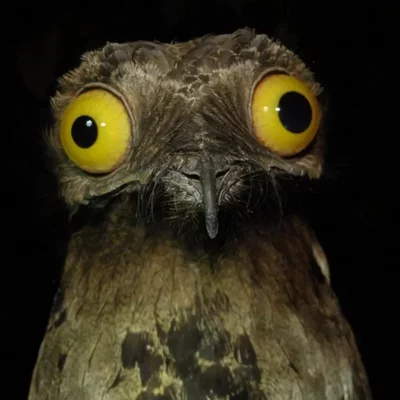 Timeline: História da ciência.