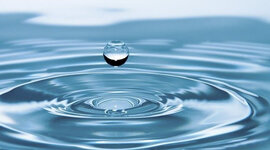 Timeline: Щорічні гасла та теми Міжнародного дня води