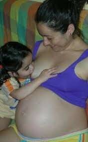 Programa Nacional de Alimentación (Pronal) Pacto de Solidaridad Económica