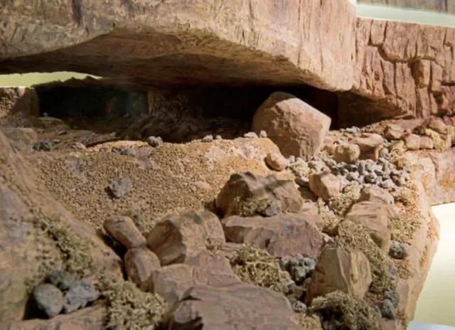 Primeros asentamientos