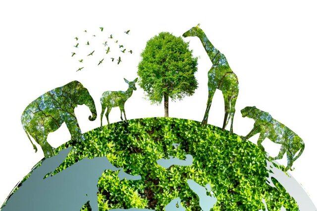 Convenio Diversidad Biológica