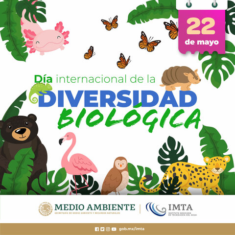 Dia Internacional de la Diversidad Biológica