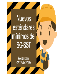creacion de estandares minimos para el sg-sst