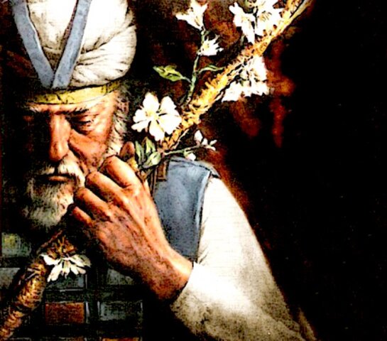 La vara de Aarón reverdeció.